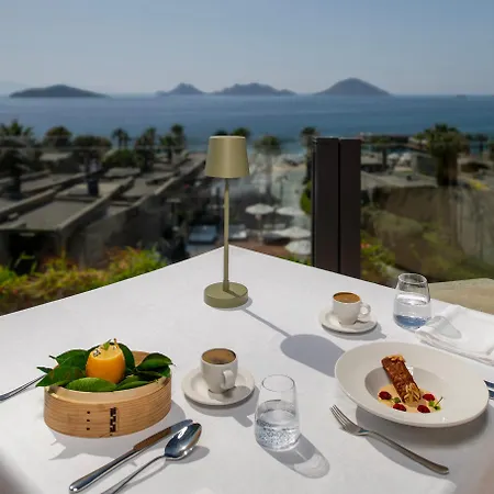 Θέρετρο Swissotel Bodrum Turgutreis