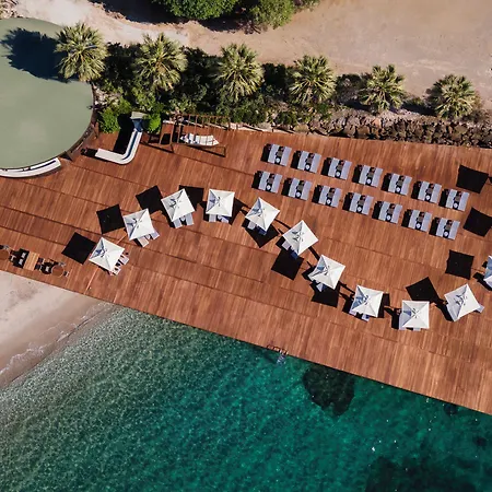 אתר נופש Swissotel Bodrum טורגוטריס