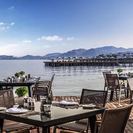 度假村 博德鲁姆海滩瑞士度假酒店 图尔古特雷斯