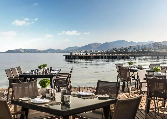 リゾート Swissotel Bodrum トゥルグトレイス