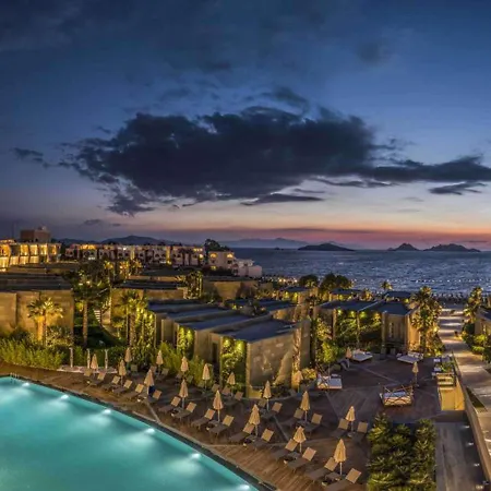 Swissotel Bodrum Тургутрейс