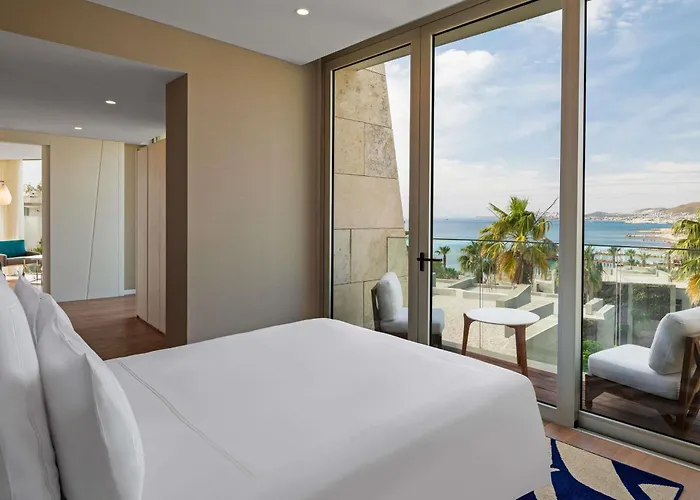 Swissotel Bodrum トゥルグトレイス